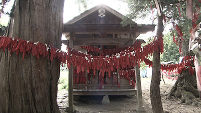 卯子酉神社