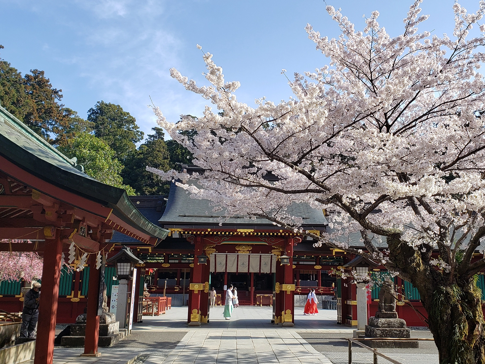 鹽竈神社（写真差し替え予定）