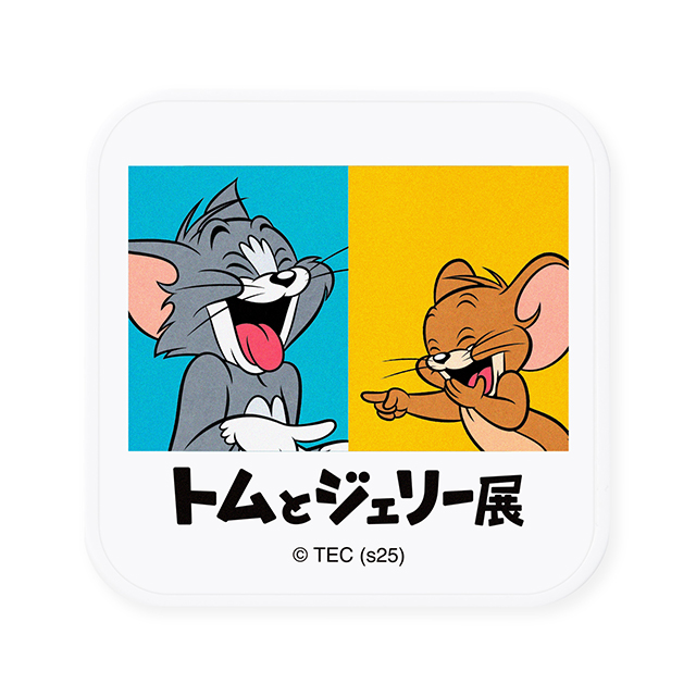 PD20W対応 AC充電器