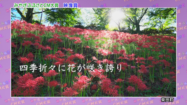 映像賞 柴田町「船岡城址公園でお待ちしてます」