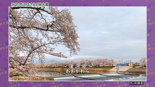 大河原町「＃きみのいない桜」