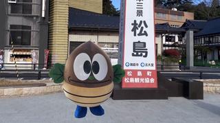 みやぎふるさとＣＭ大賞