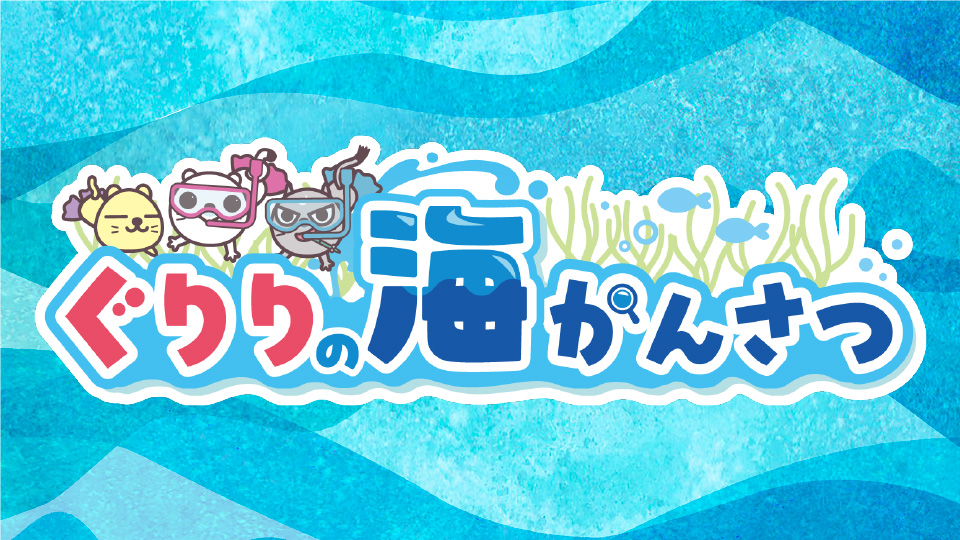 ぐりりの海かんさつ