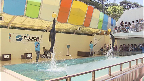 テレビの記憶遺産　５０年分の秘蔵映像大放出！