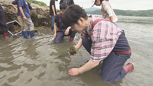 この海をミライに ～潜水リポート！三陸沖の最前線～