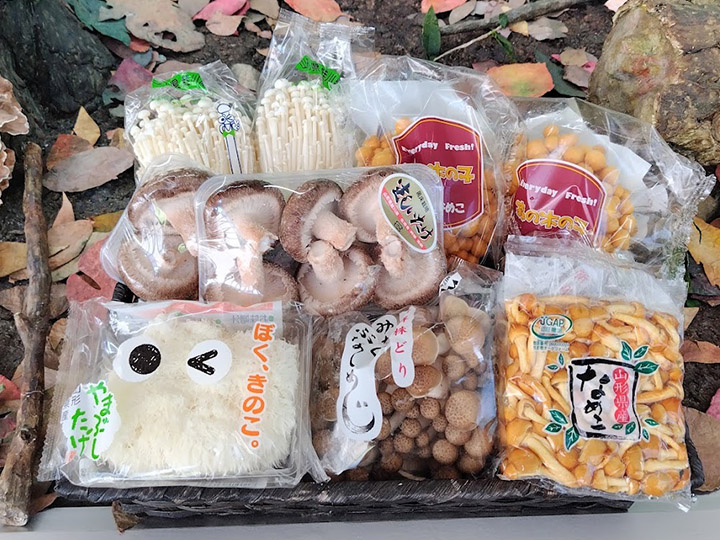 きのこセット