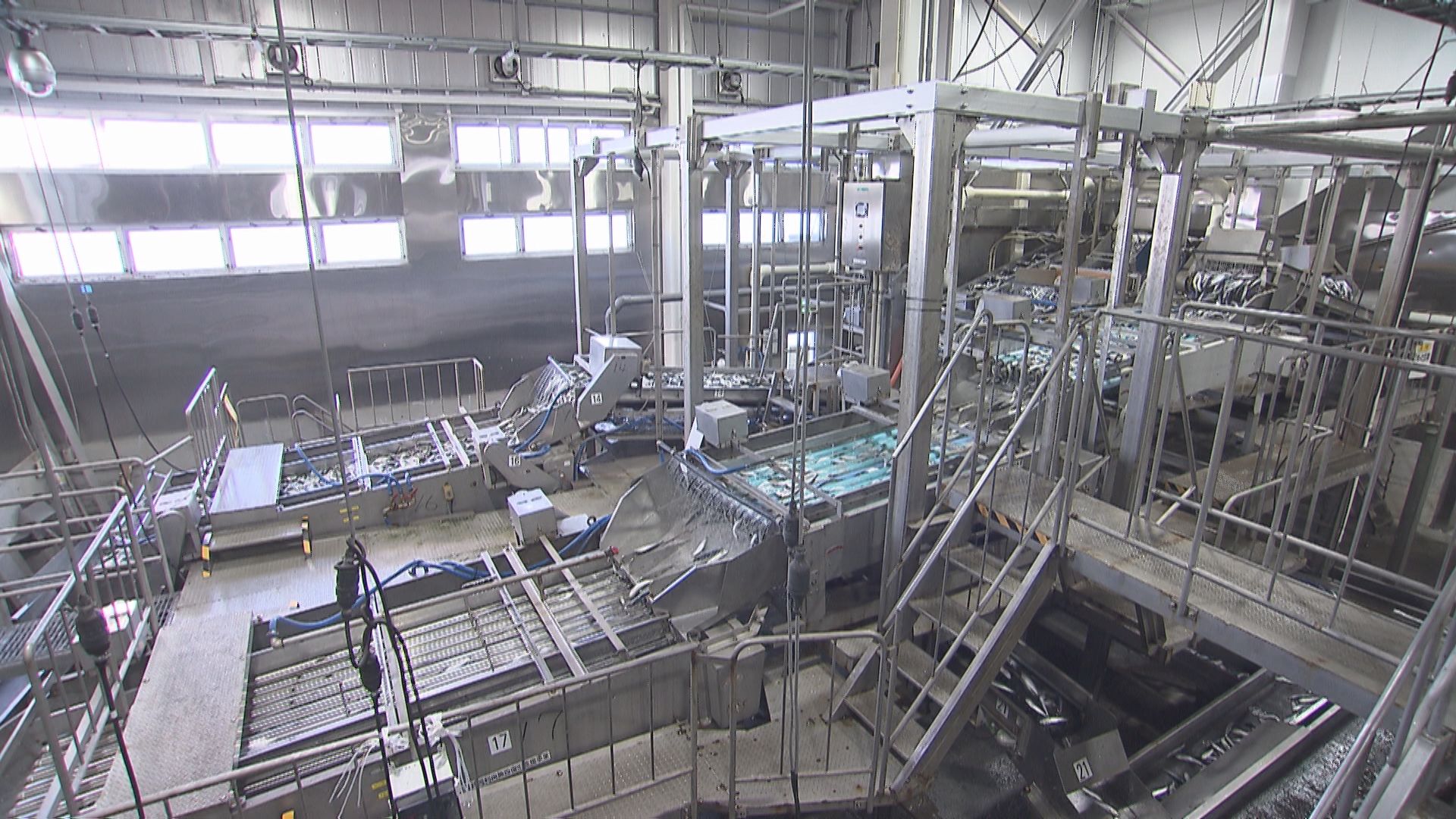 「THE密着」『宮城から世界へ！最先端技術で課題に挑む水産加工会社』