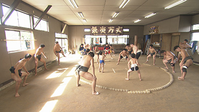 加美農業 相撲部