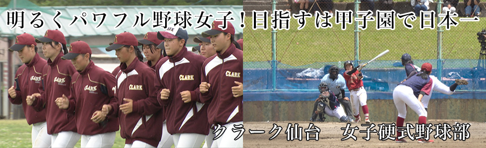 クラーク仙台　女子硬式野球部