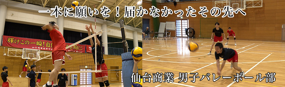 仙台商業 男子バレーボール部