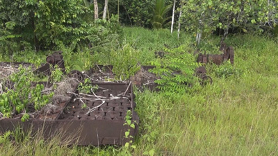 パラオで見つかったかつての工場跡