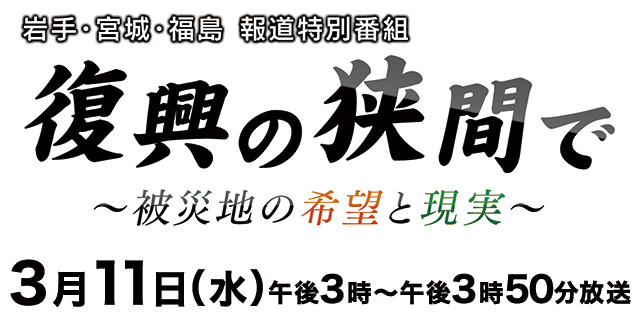 岩手・宮城・福島 報道特別番組 復興の狭間で～被災地の希望と現実～