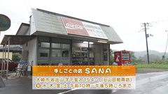 手しごとの店 SANA