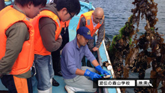 波伝の森山学校