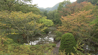 仙台市秋保大滝植物園