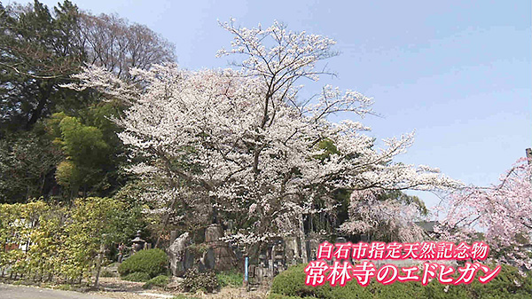 常林寺