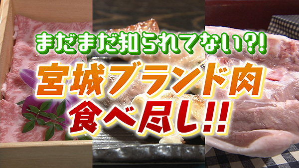 牛、豚、鶏…宮城が誇るブランド肉を食べ比べ！