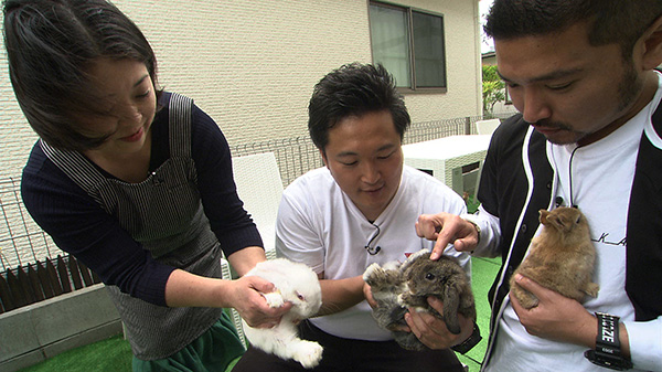 うさぎ村　中山吉成店