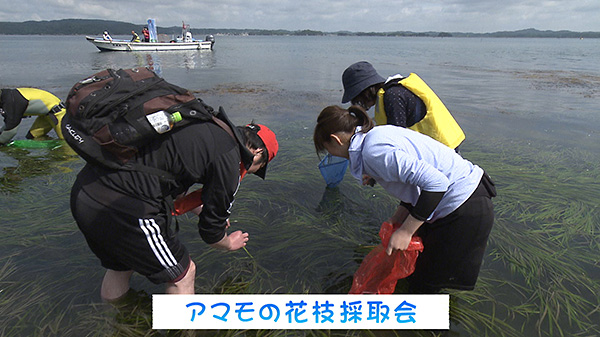 日生町漁業協同組合