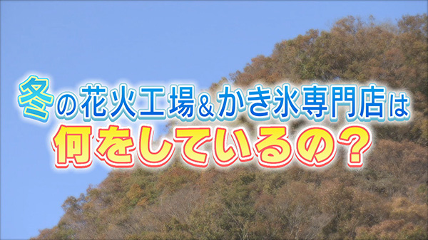 冬の間は何をしているの？花火工場とかき氷専門店を調査！