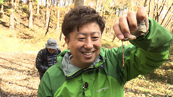 太白山で自然観察