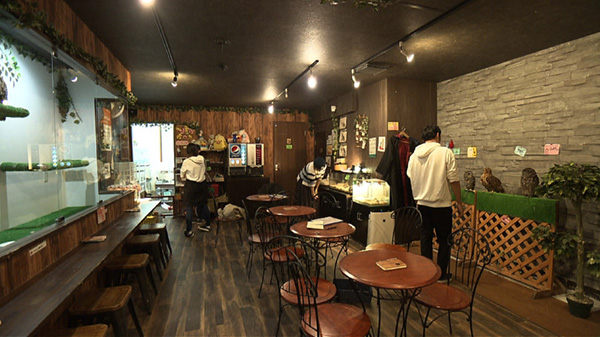 ふくろうカフェRicky 仙台店