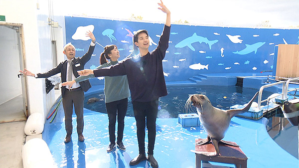 仙台うみの杜水族館