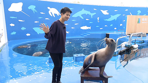 仙台うみの杜水族館