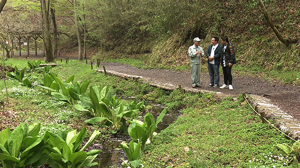 宮城県 県民の森