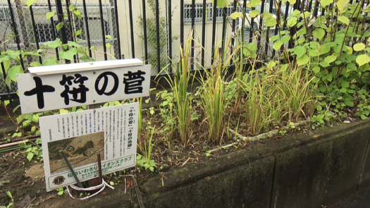 岩切市民センター(十符の菅)