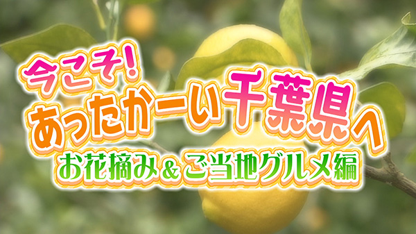 今こそ！あったかーい千葉県へ　お花摘みとグルメ編