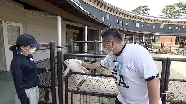 八木山動物公園フジサキの杜