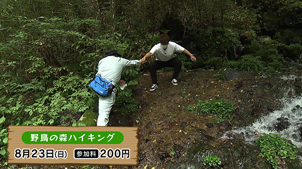 宮城県蔵王野鳥の森自然観察センター（ことりはうす）