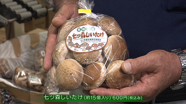 七ツ森菌床椎茸生産組合