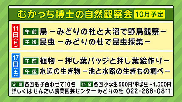 せんだい農業園芸センターみどりの杜