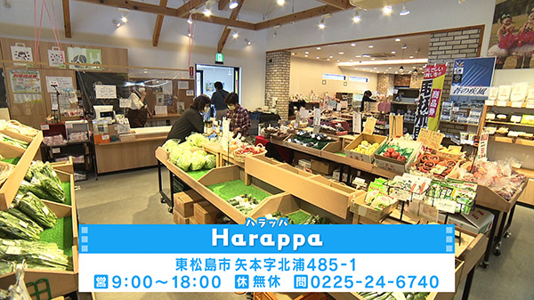 Harappa(ハラッパ)