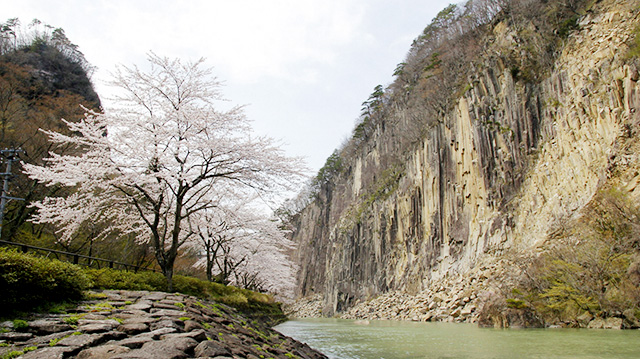 「ご当地いいね」　～白石の桜