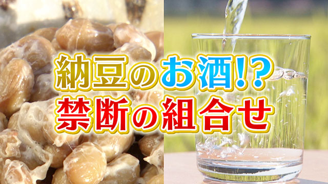 納豆のお酒？禁断の組み合せ