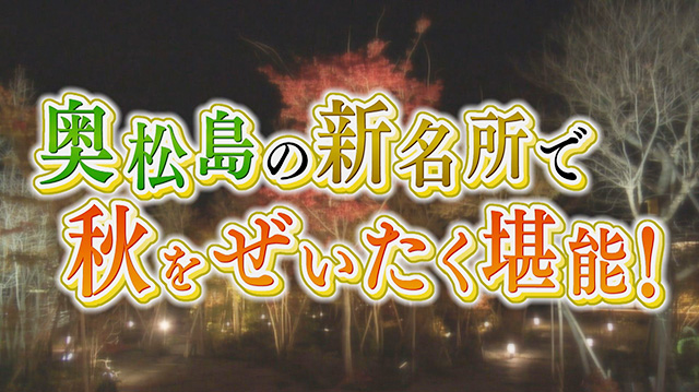 東松島市の秋を満喫！