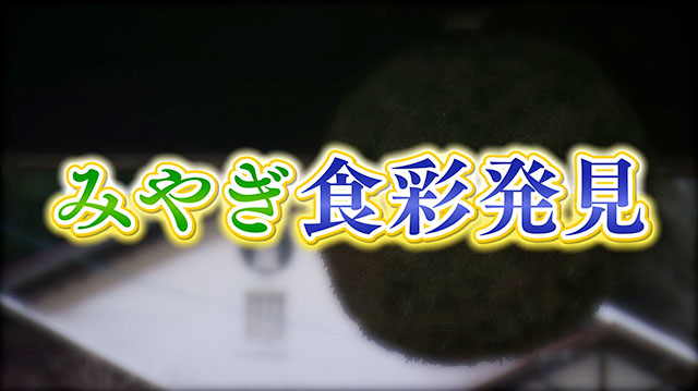 みやぎ食彩発見