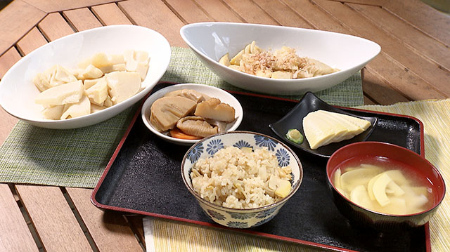 みやぎ食彩発見～丸森町耕野のタケノコ