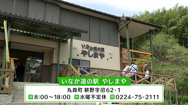 みやぎ食彩発見～丸森町耕野のタケノコ