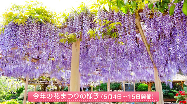 岩沼・金蛇水神社