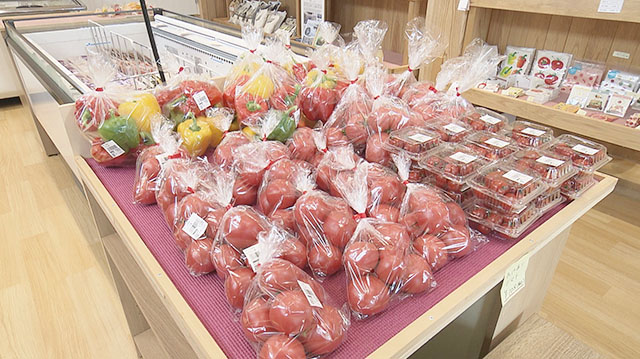 みやぎ食彩発見～県内生産１/４を占める石巻市のパプリカ