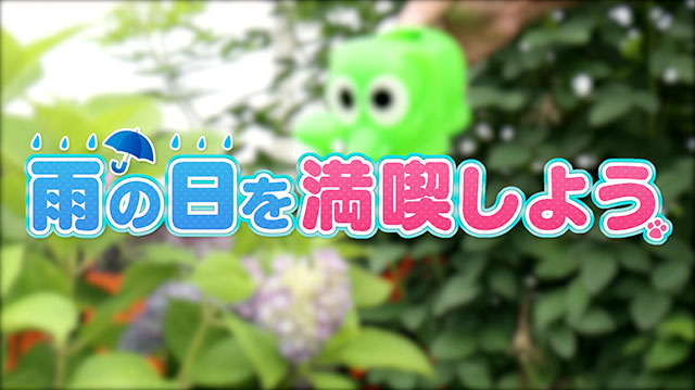 梅雨を楽しもう！