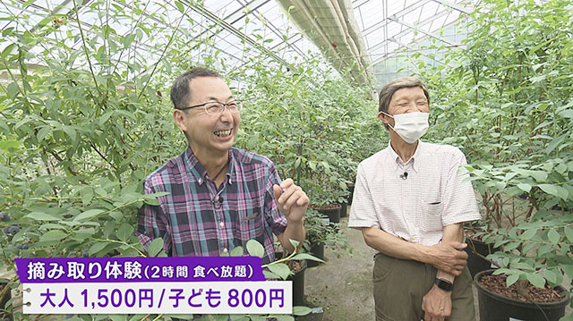 みやぎ食彩発見～気仙沼のブルーベリー