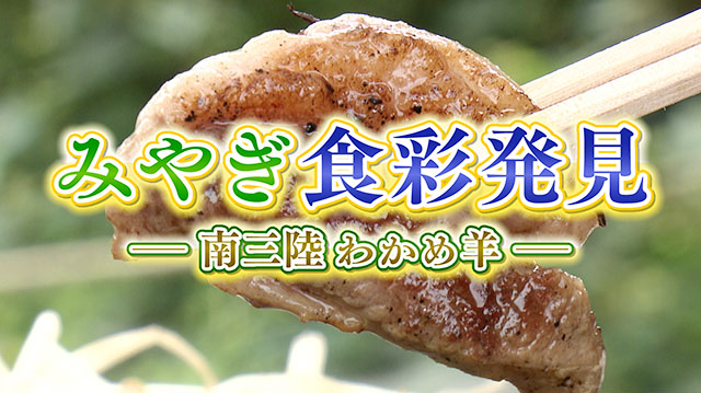 みやぎ食彩発見～南三陸・わかめ羊