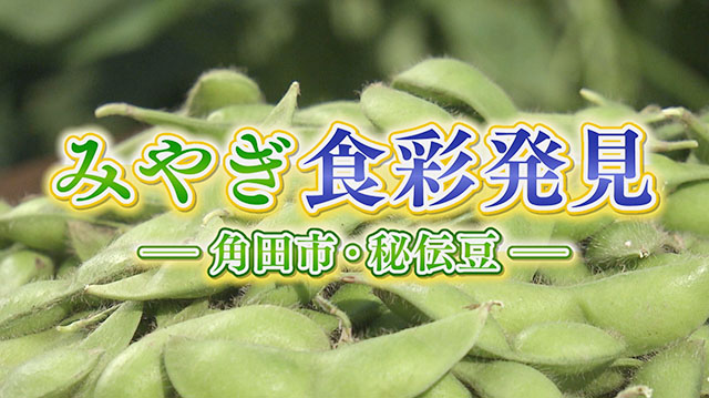 みやぎ食彩発見～角田市の秘伝豆