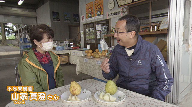 みやぎ食彩発見～蔵王町の洋ナシ