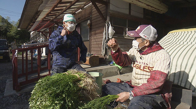 みやぎ食彩発見～登米市の観音寺セリ